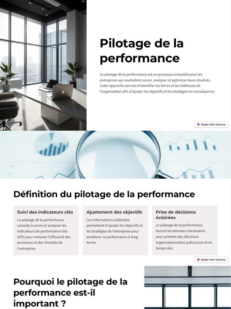 Pilotage de la Performance Opérationnelle | PDF | Indicateur des ...