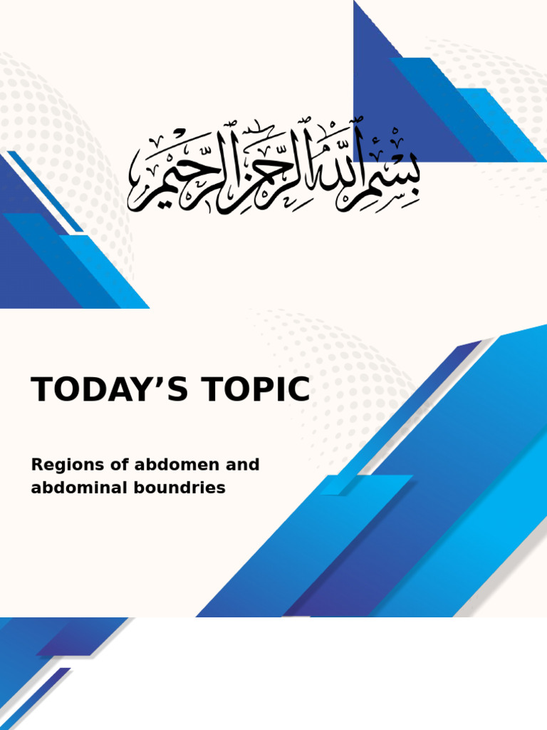 Abdominal Cavity Regions Explained | PDF | Abdomen | Large Intestine