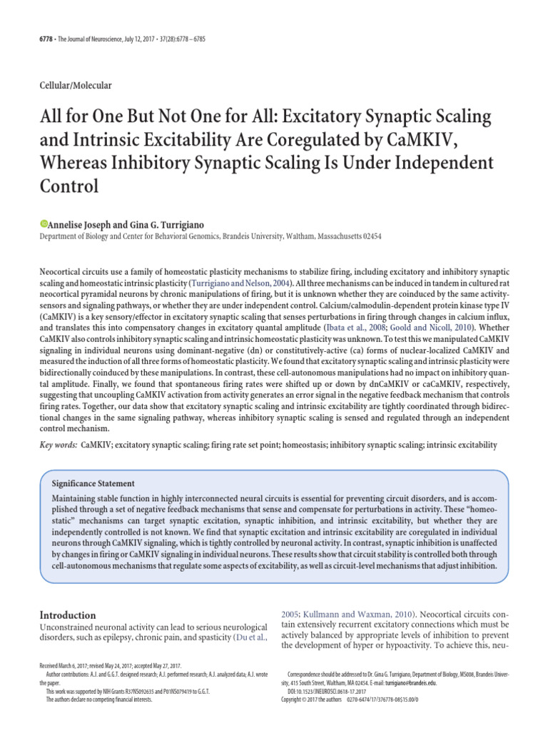 Joseph and Turrigiano 2017 | PDF | Synapse | Synaptic Plasticity