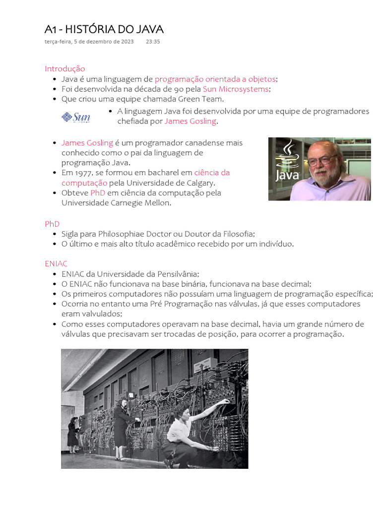 História e Fundamentos da Linguagem Java | PDF
