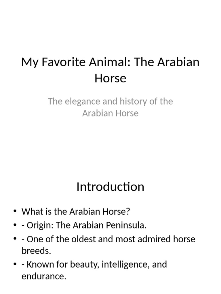 Arabian Horse Presentation | PDF