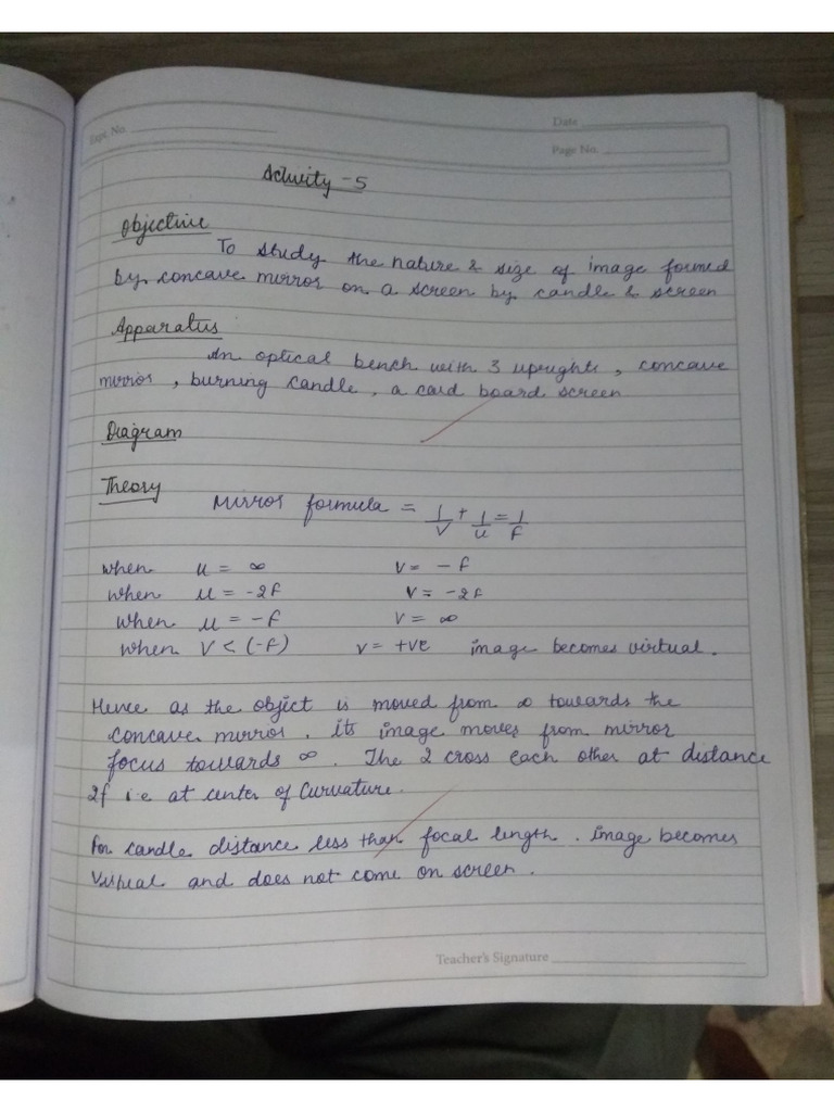 Activity 4 | PDF