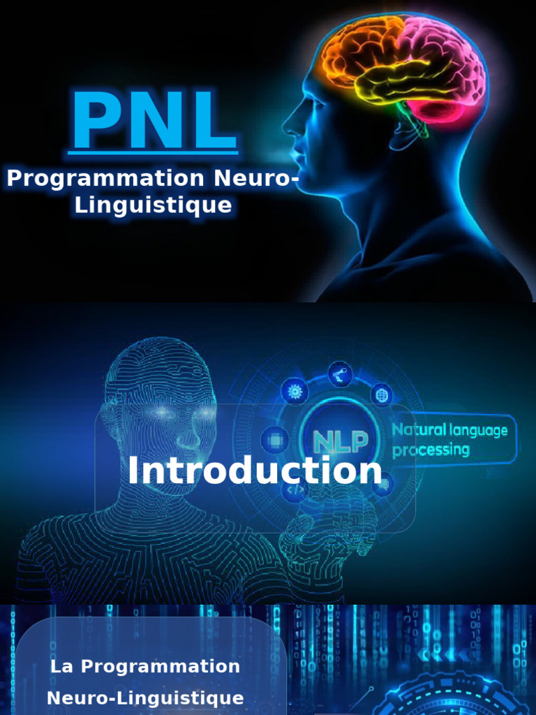 Introduction à la Programmation Neuro-Linguistique | PDF