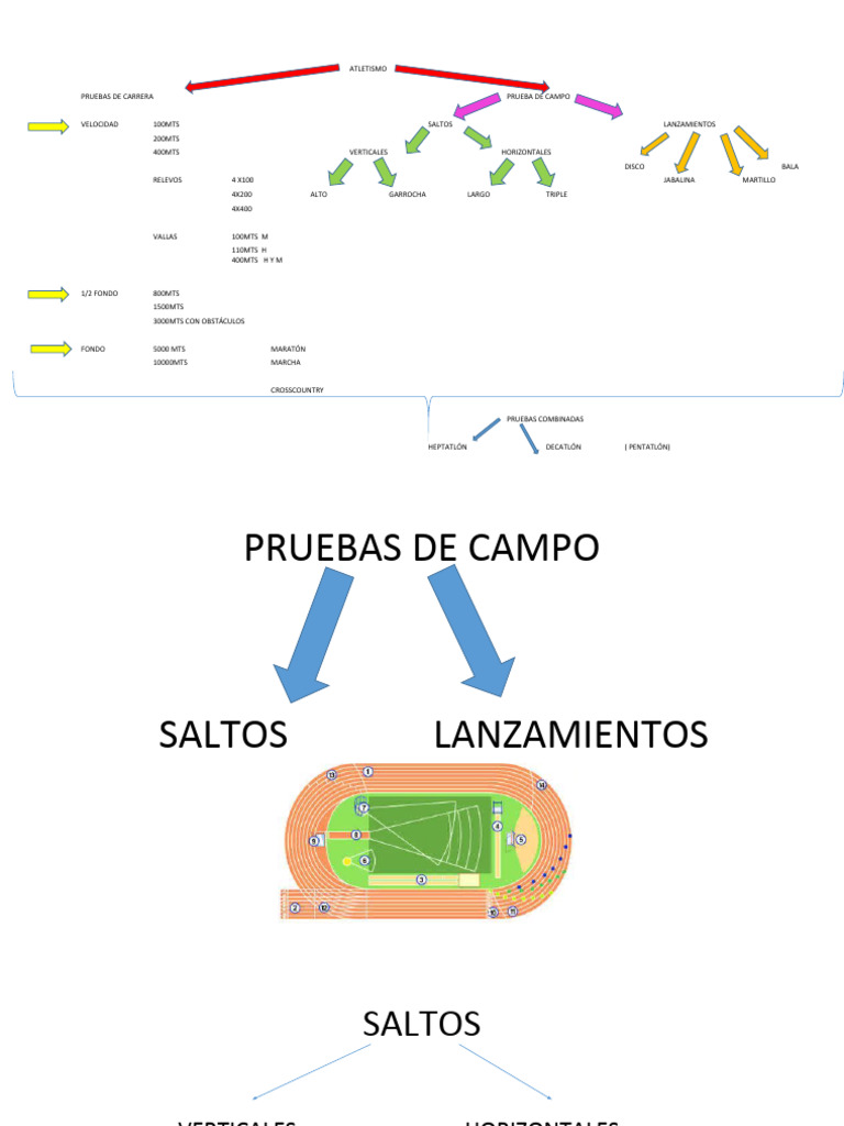 Pruebas de Campo Saltos | PDF | Deporte del atletismo | Deportes atléticos