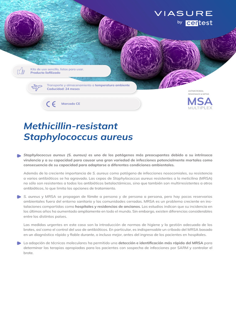 MSA Methicillin Resistant Staphylococcus Aureus ES | PDF ...