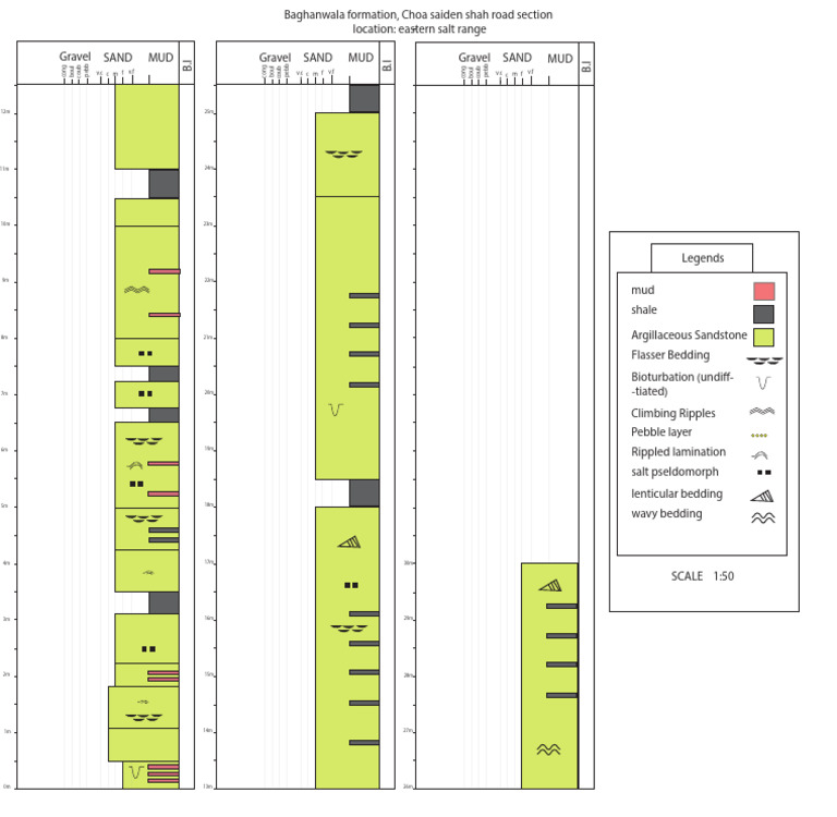 Baghanwala Lithology Log | PDF | Masonry | Rocks