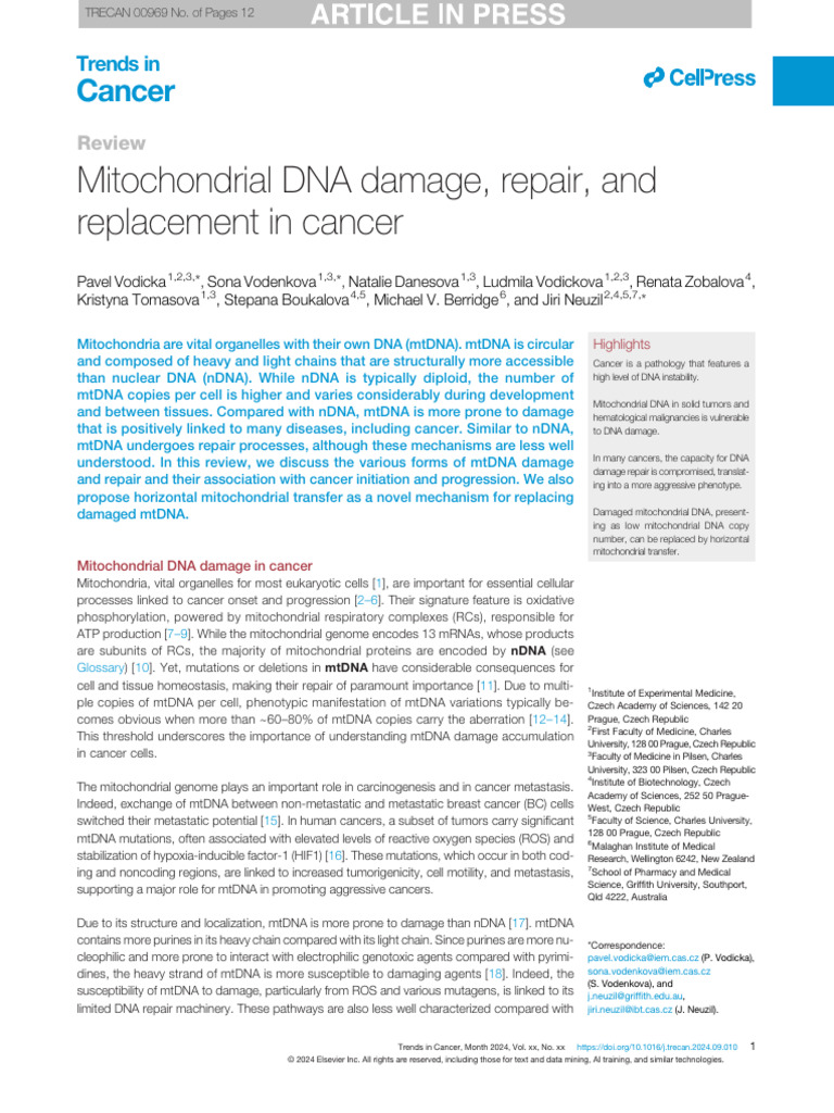 Mitochondrial DNA Damage | PDF | Dna Repair | Mitochondrial Dna