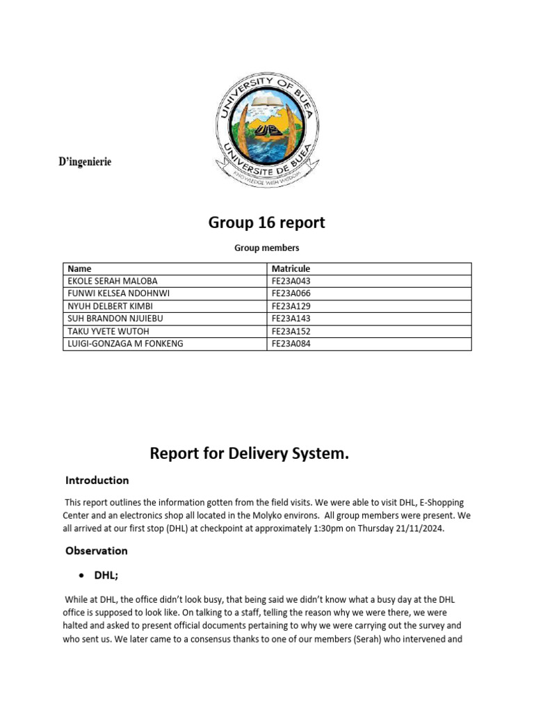 Report On Delivery Sytem | PDF