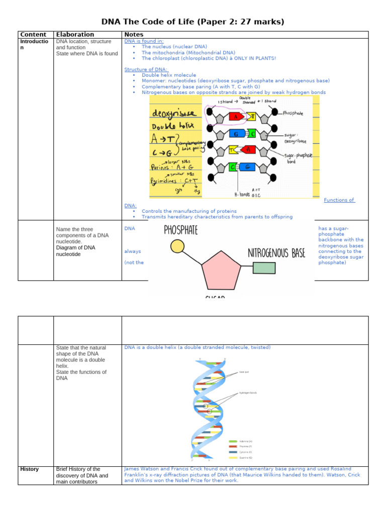 Dna Notes 2021 Filled in | PDF | Dna | Translation (Biology)