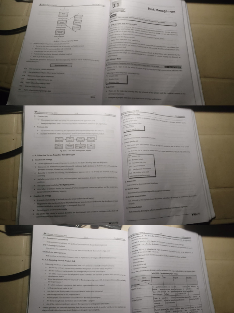 Project Risk Management Strategies | PDF