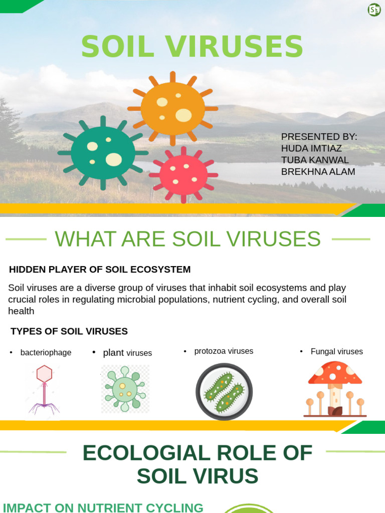 Soil Viruses: Key Roles in Ecosystems | PDF | Soil | Virus