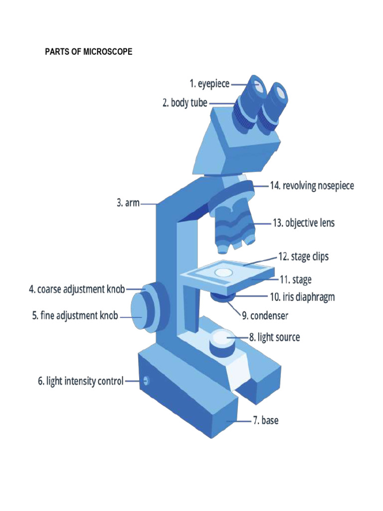 Microscopes Reviewer | PDF