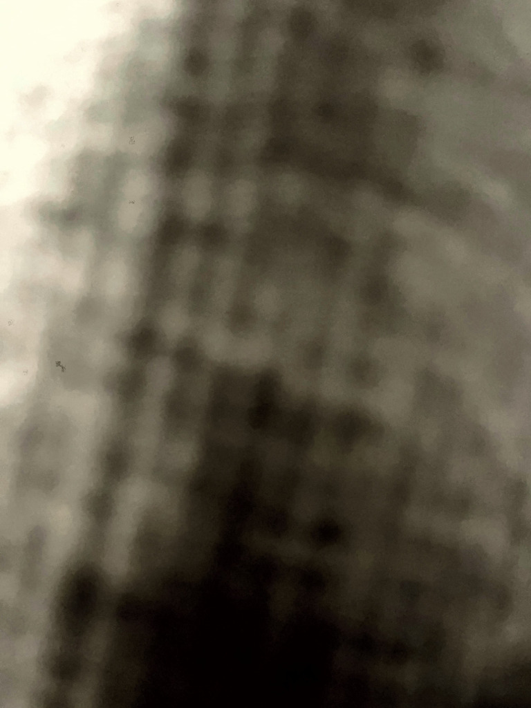 Adobe Scan 24 Dec 2024 | PDF