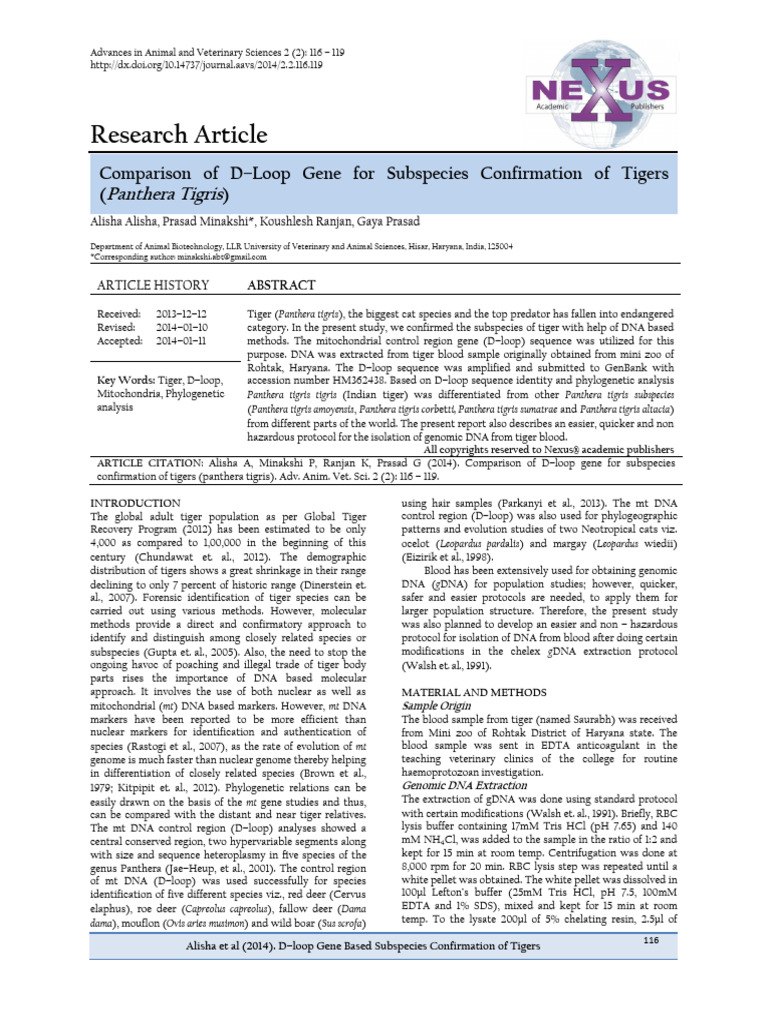 Tiger Species Identification Using mtDNA | PDF | Primer (Molecular ...