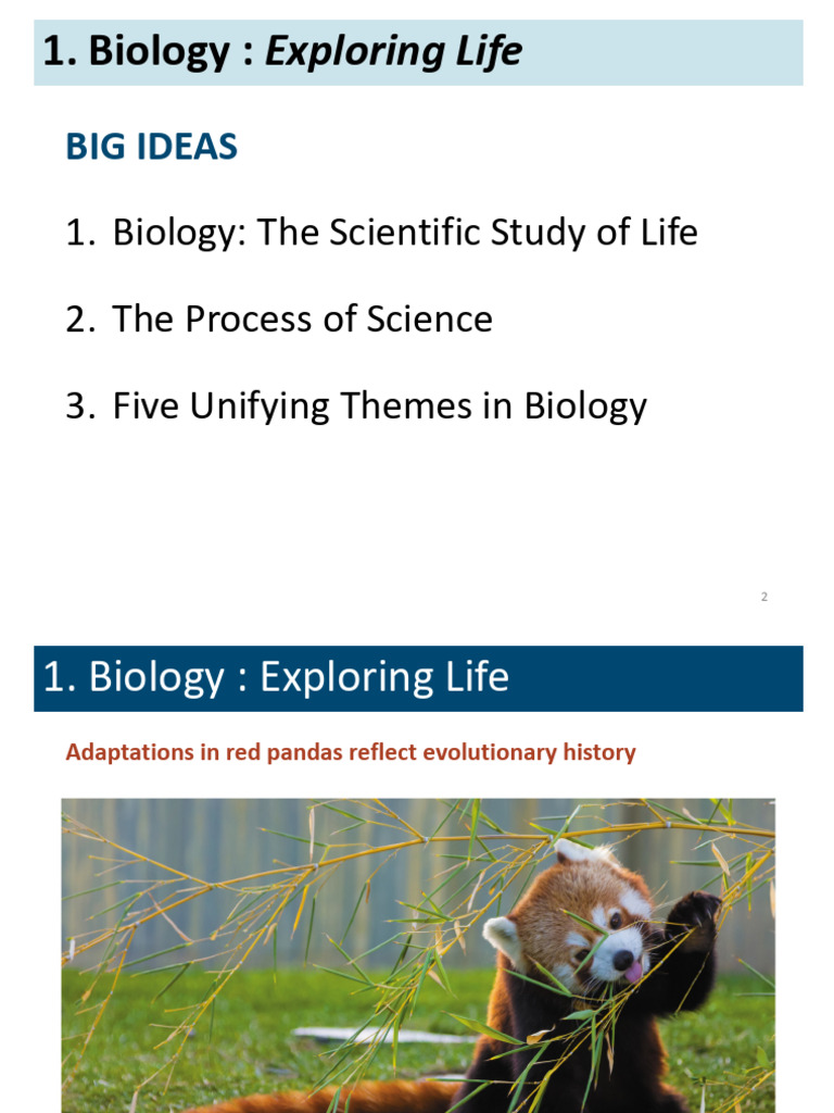 Red Panda Adaptations and Evolution | PDF | Experiment | Hypothesis