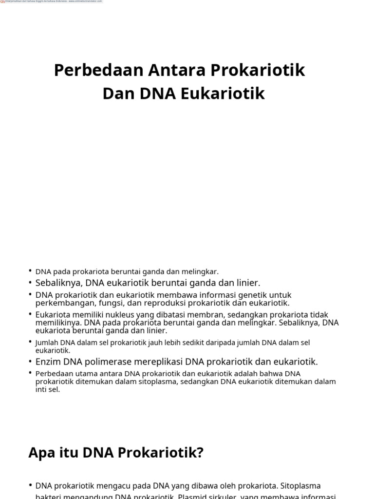 Difference between prokaryotic and eukaryotic dna en id 1 pdf