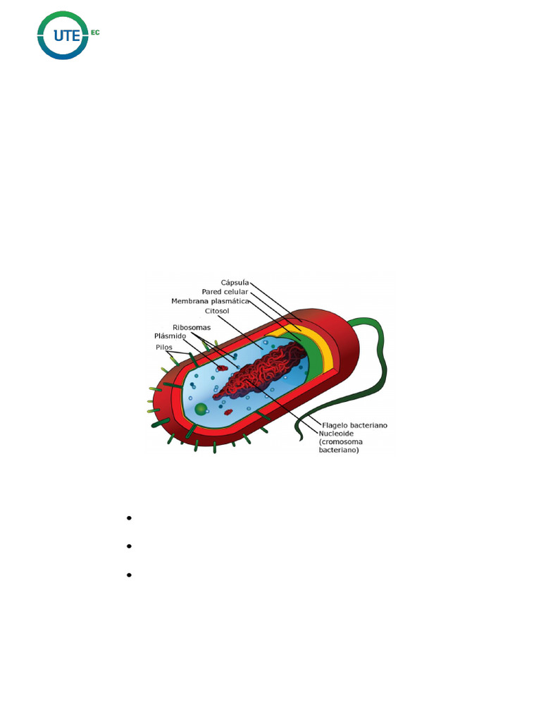 Tinción de Gram en Células Procariotas | PDF | Tinción | Las bacterias