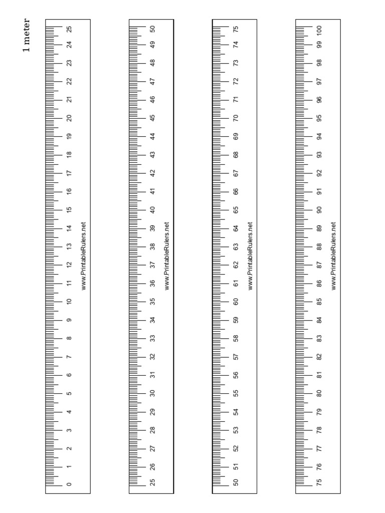 Printable Rulers for Accurate Measuring | PDF