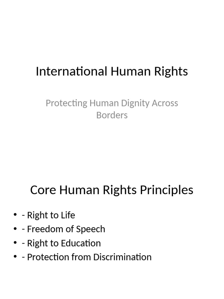International Human Rights | PDF
