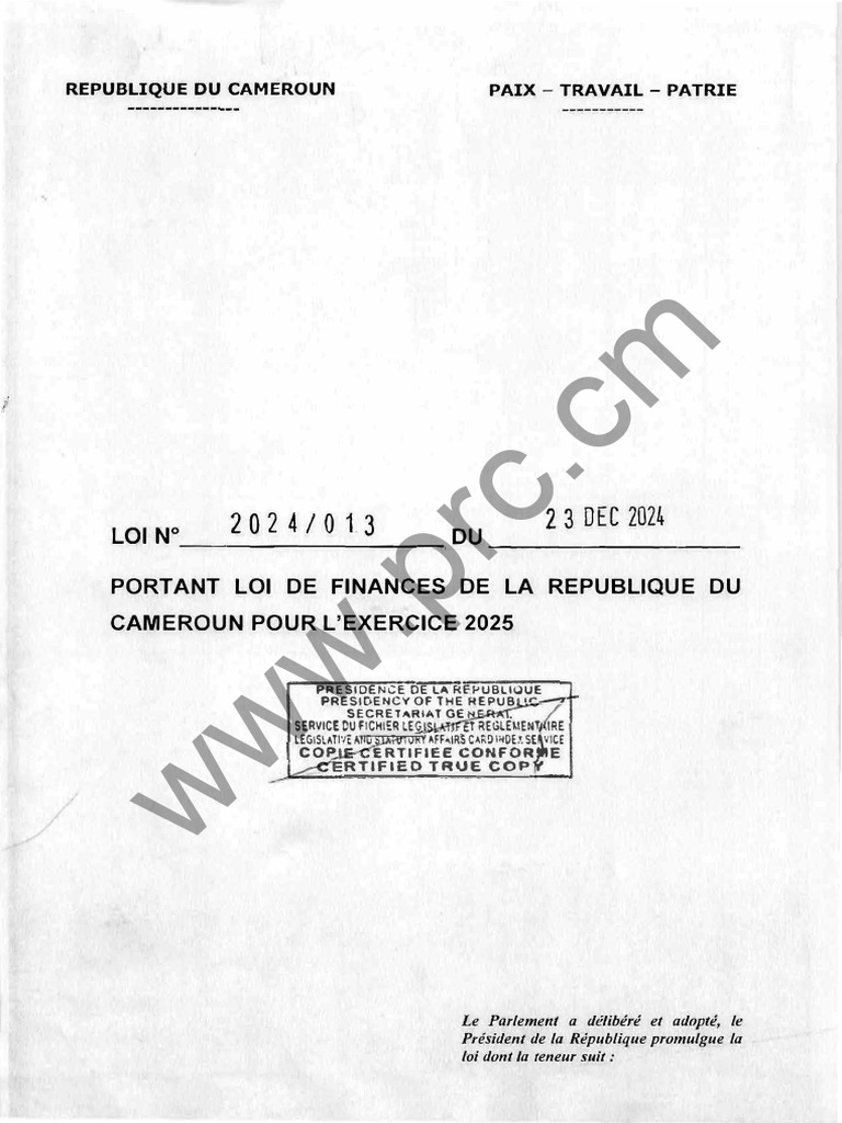 LOI DES FINANCES 2025 | PDF