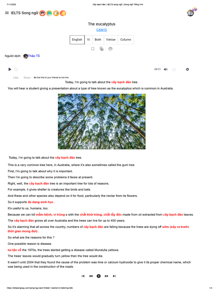 Test 1 Part 4 The Eucalyptus Vietise2 | PDF | Rainforest | Vegetation