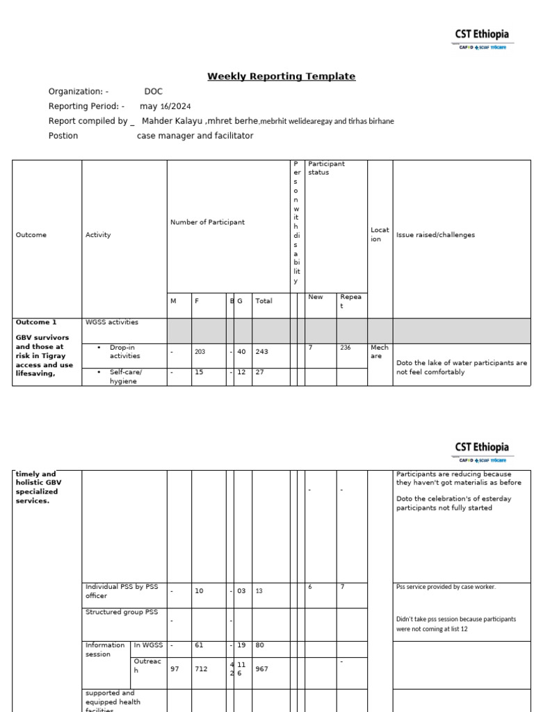 Bi Weekly Report Mechare May 16 11 | PDF