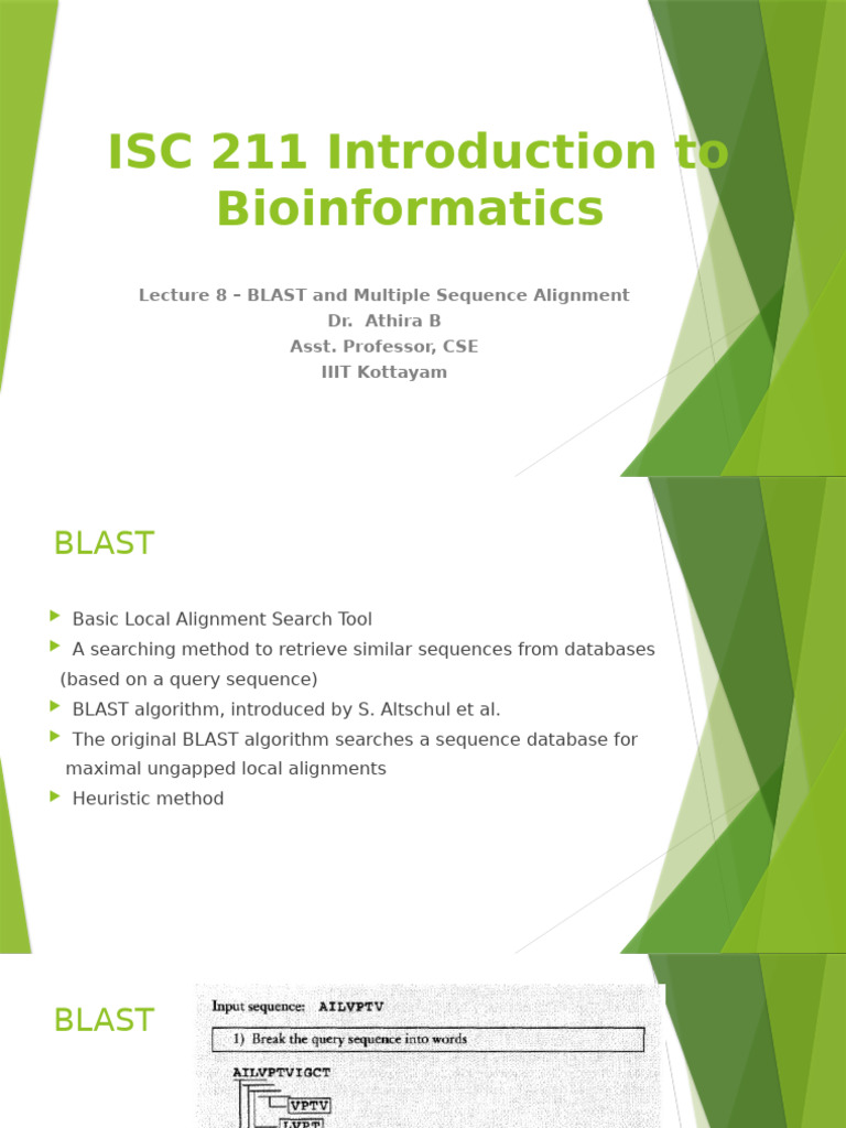 BLAST and MSA in Bioinformatics | PDF | Sequence Alignment | Genetics