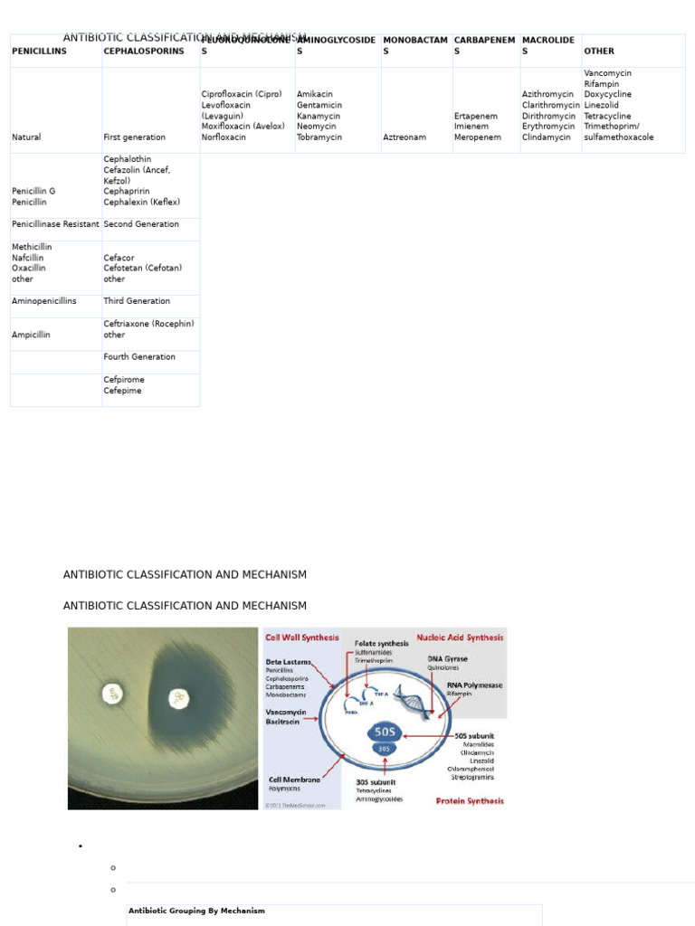 Antibiotic Classification and Mechanisms | PDF | Beta Lactamase | Drugs
