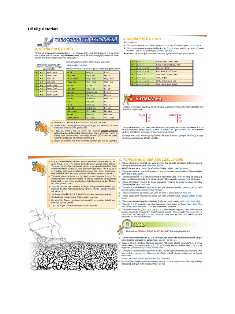SAL 12 Dil Bilgisi Notları | PDF
