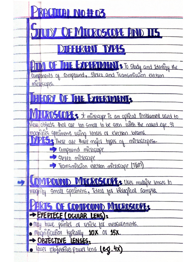 Botany Practical 3 | PDF