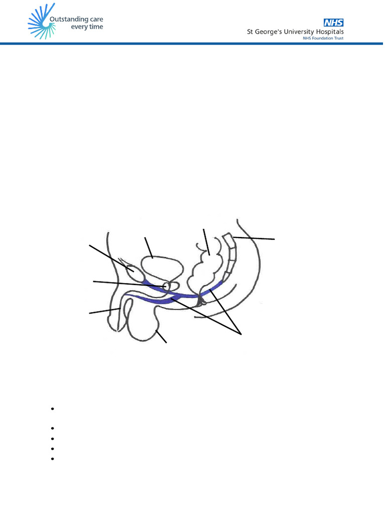 phy-pfem-pdf-urinary-incontinence-pelvis