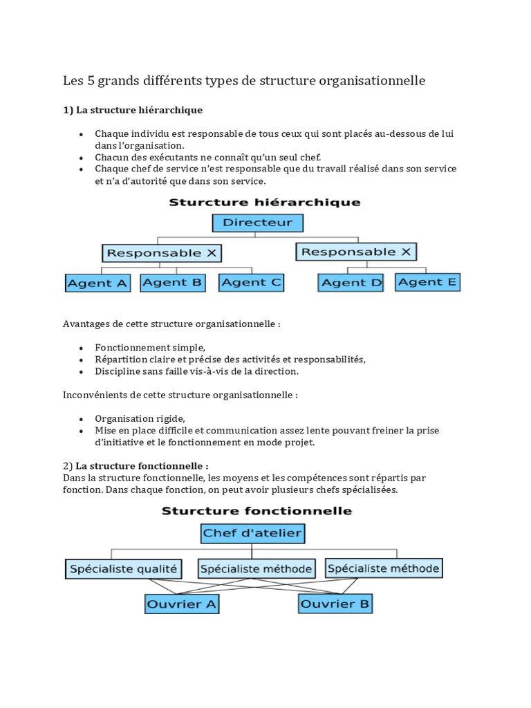 Les 5 types de structures organisationnelles | PDF | Business