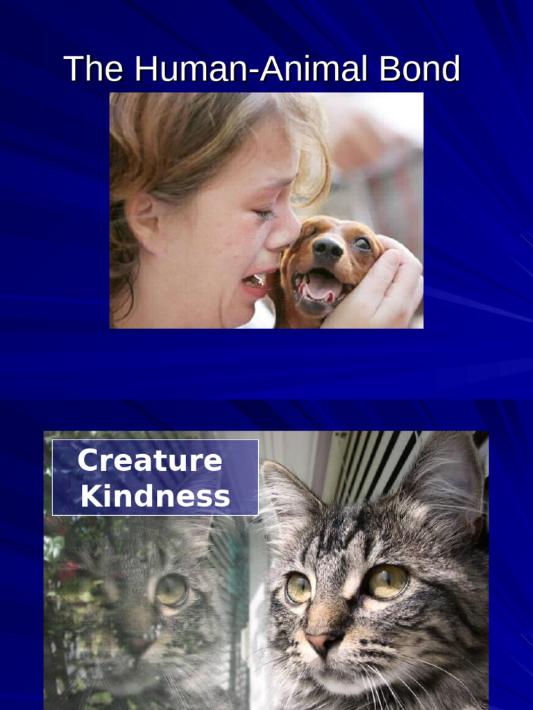 L2c-The Human-Animal Bond | PDF | Cruelty To Animals | Pet
