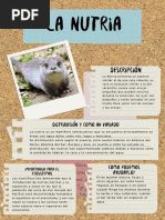 Nutria marina: peligro de extinción | PDF