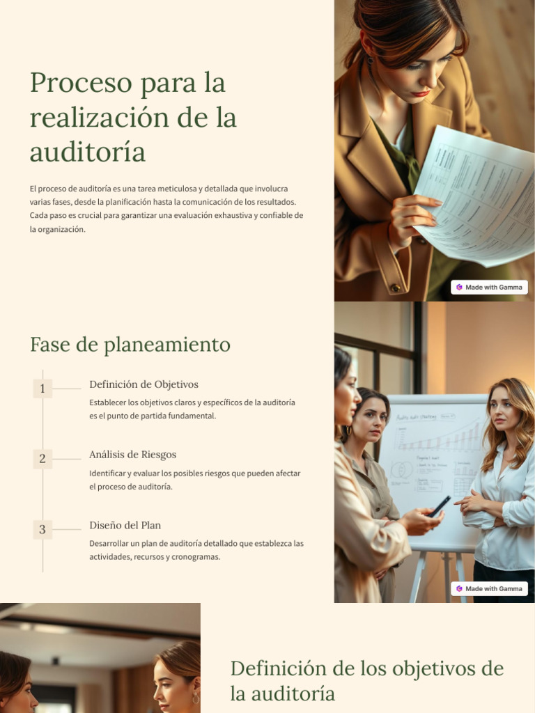 Proceso para La Realizacion de La Auditoria | PDF | Auditoría | Business
