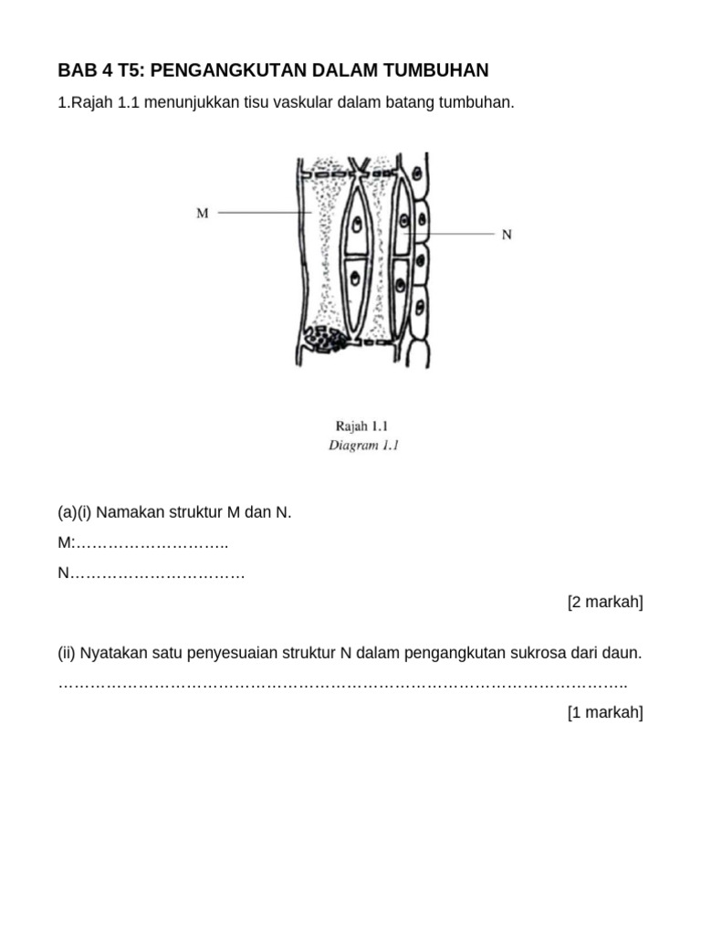 BAB 4 T5 Soalan | PDF