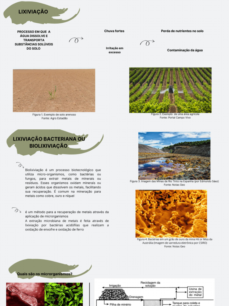 Lixiviação | PDF