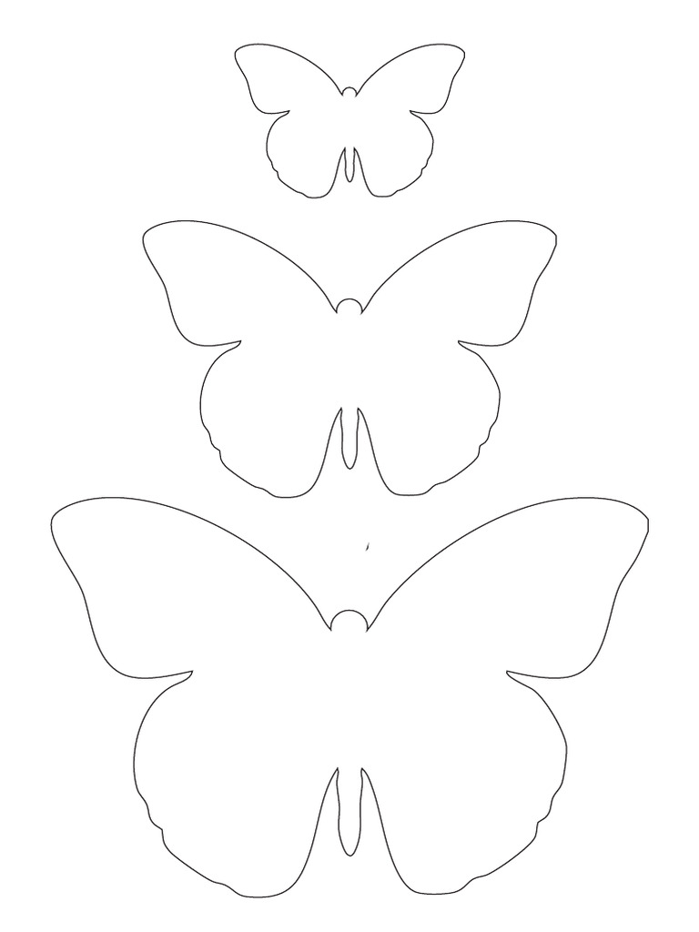 Butterfly | PDF