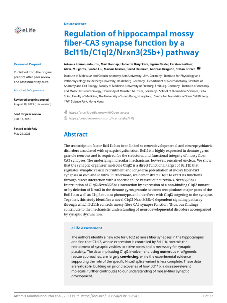 89854-v1 | PDF | Synapse | Long Term Potentiation