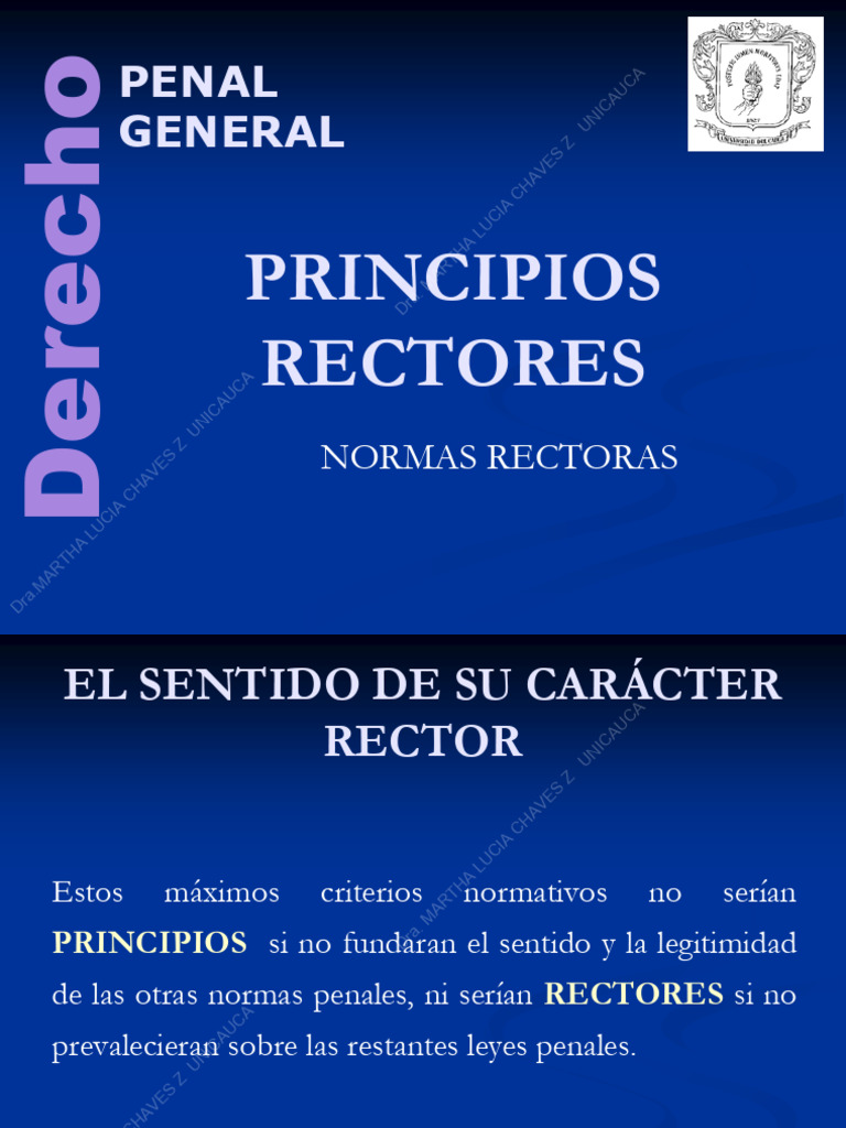 PRINCIPIOS RECTORES (1) | PDF | Constitución | Dignidad