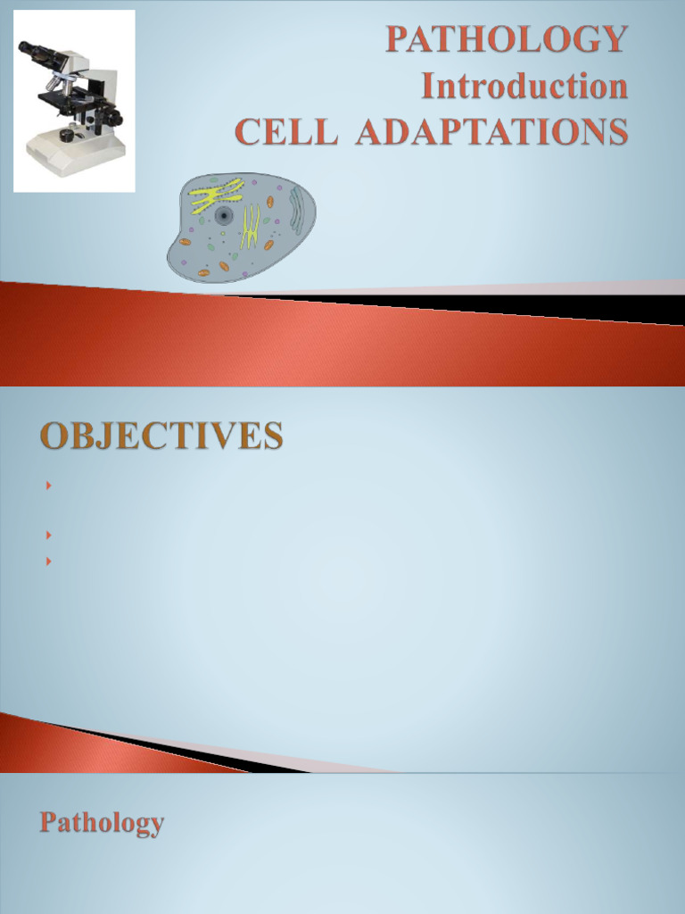Lec 1 Introduction To Pathology and Cell Injury | PDF | Mitochondrion ...