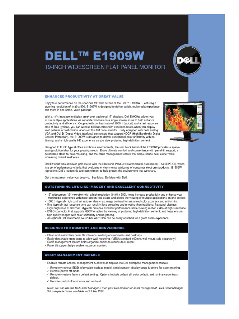E1909W | PDF | Computer Monitor | Video