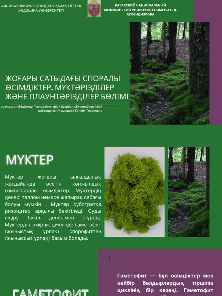 Желіде секс туралы фильмдер көріңіз