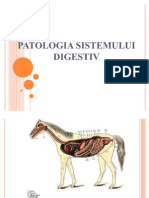 Patologia Sistemului Digestiv
