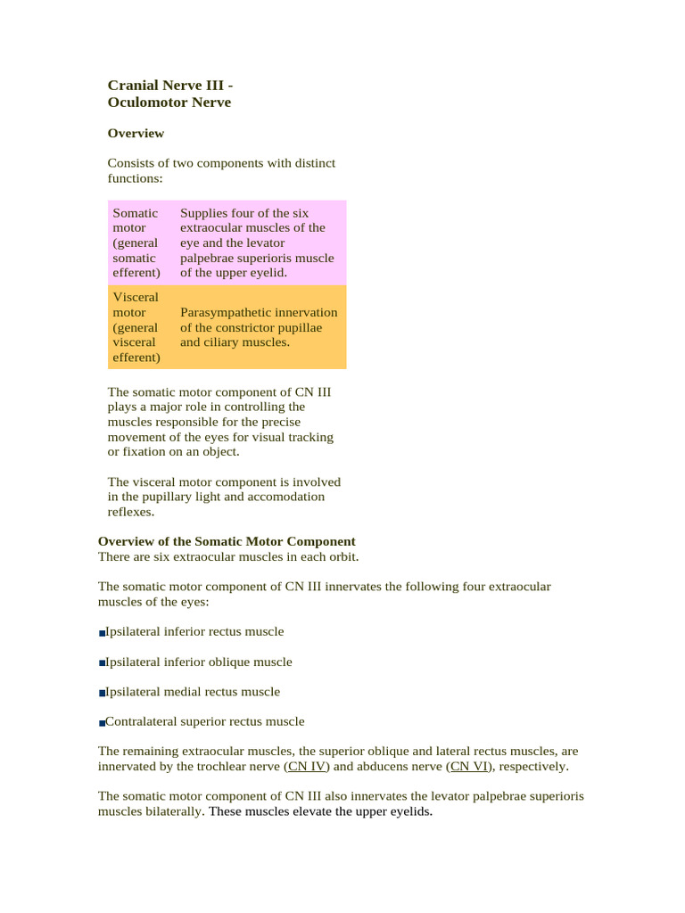 Cranial Nerve III | PDF