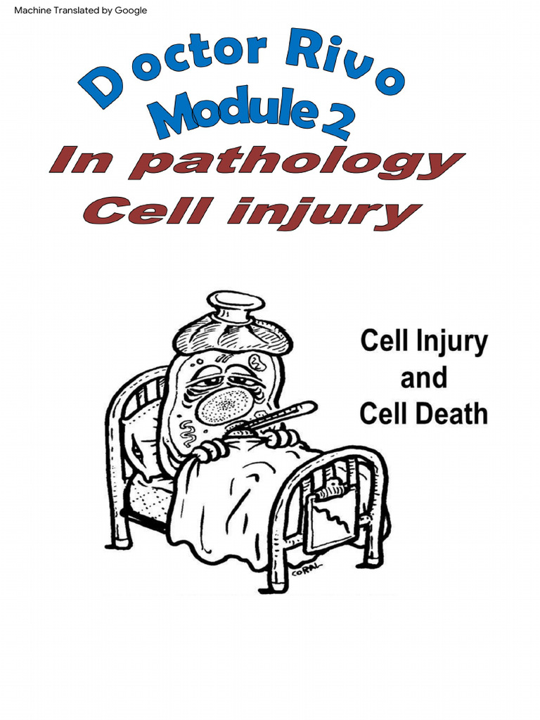 Cell Injury | PDF