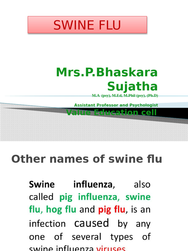 Understanding Swine Flu: Risks and Facts | PDF | Swine Influenza ...