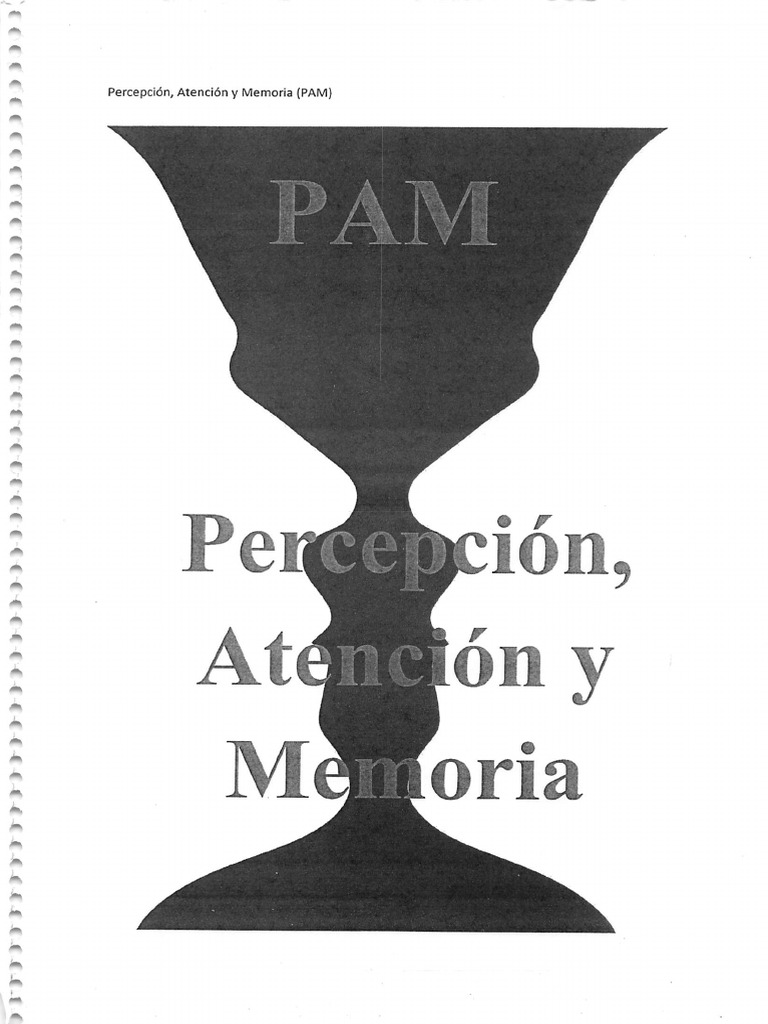 Percepción Atención Memoria 1 Pdf