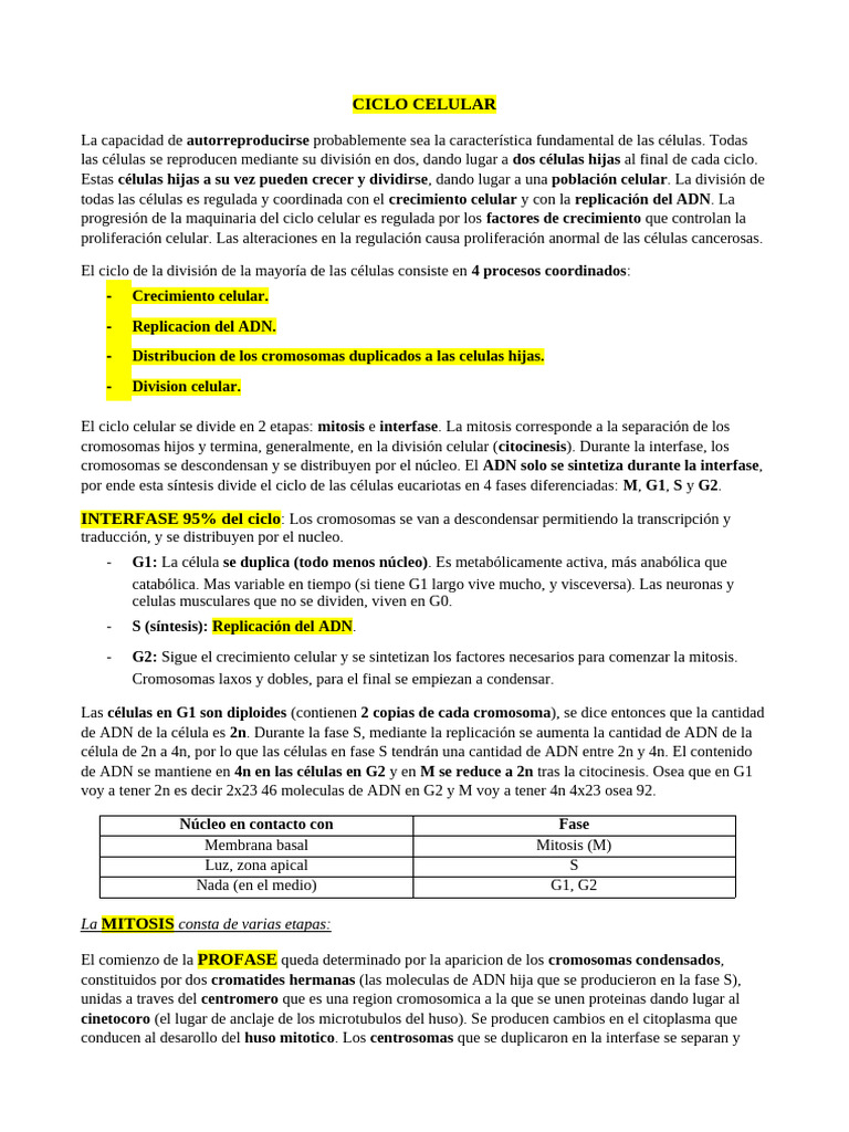 Ciclo Celular: Fases y Regulación | PDF | Adn | Replicación De Adn