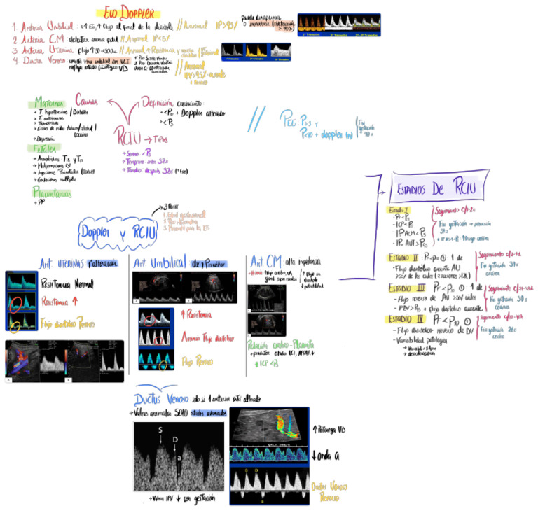 RCIU | PDF